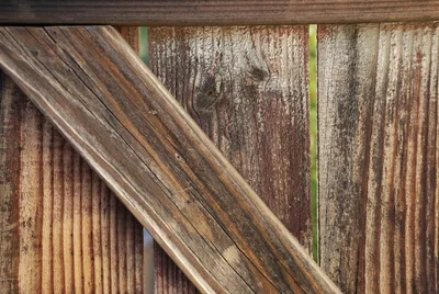 DSC_0045 (Large).JPG